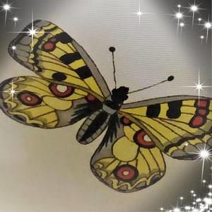 Meet your Posher, Carol